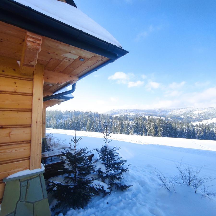 Witowianskie Domki Z Kominkiem, Jacuzzi I Sauna Dzianisz 外观 照片