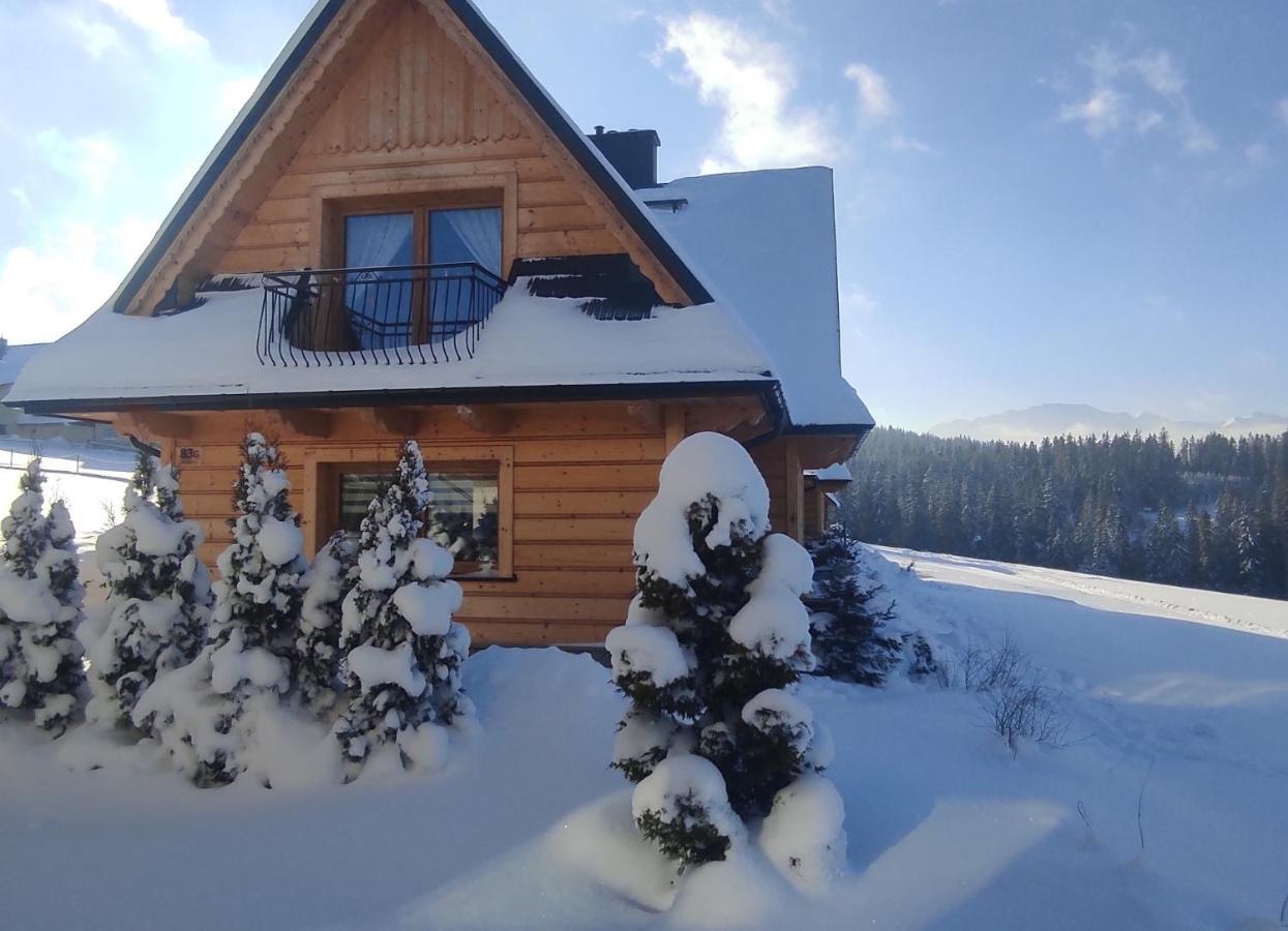 Witowianskie Domki Z Kominkiem, Jacuzzi I Sauna Dzianisz 外观 照片