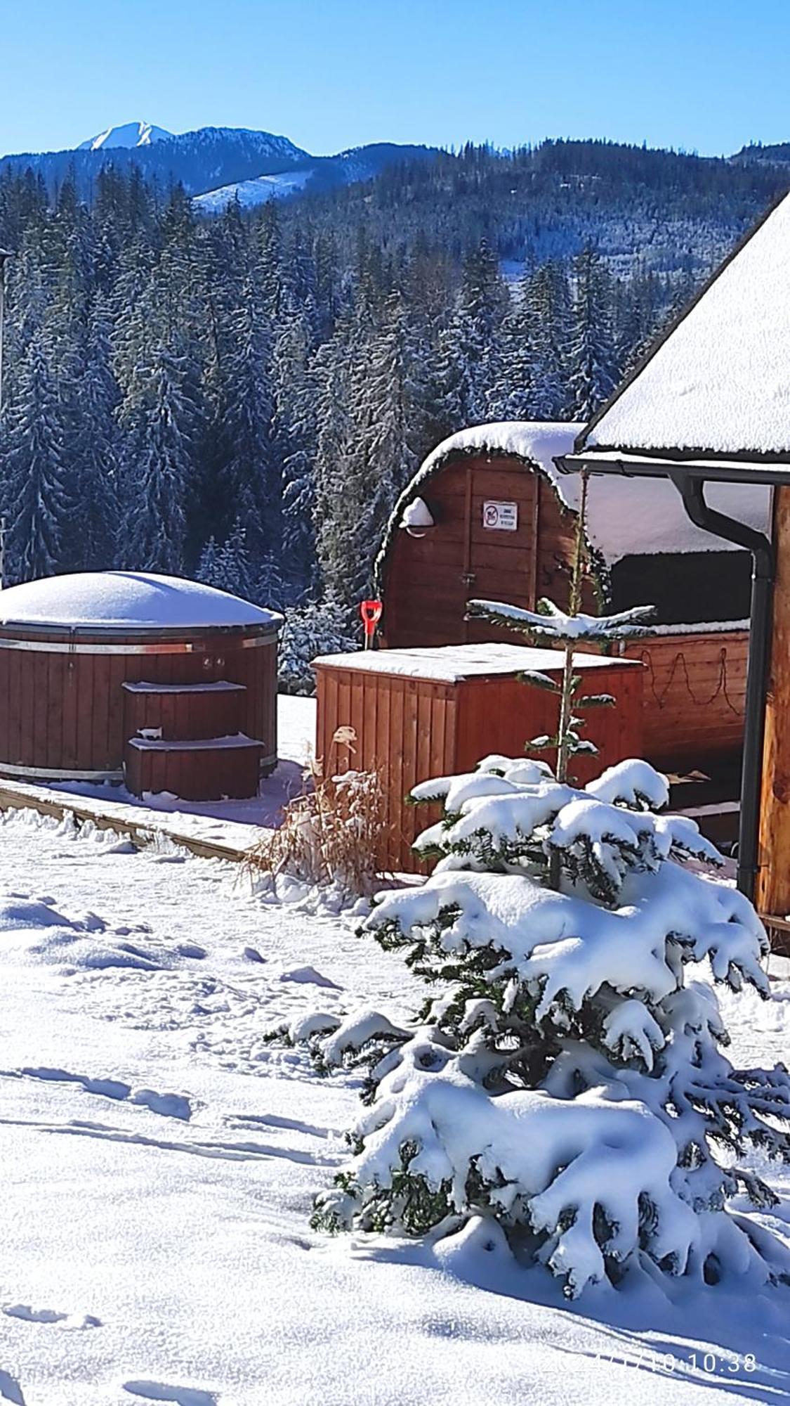 Witowianskie Domki Z Kominkiem, Jacuzzi I Sauna Dzianisz 外观 照片