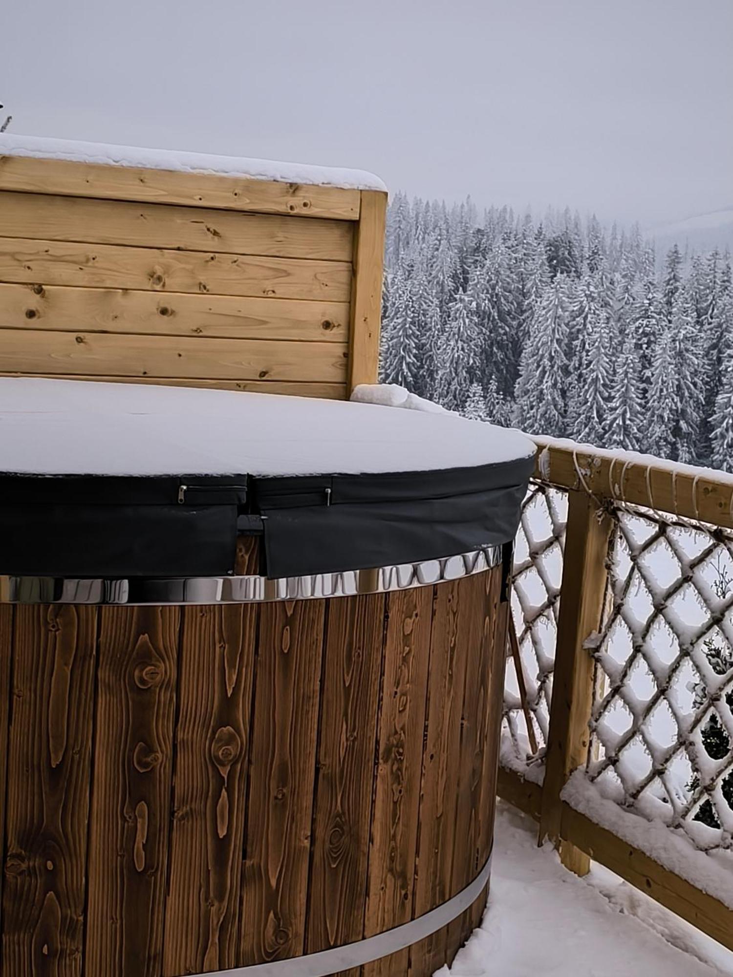 Witowianskie Domki Z Kominkiem, Jacuzzi I Sauna Dzianisz 外观 照片
