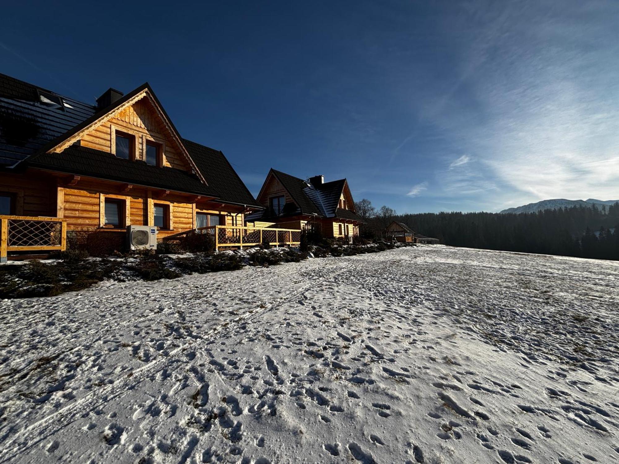 Witowianskie Domki Z Kominkiem, Jacuzzi I Sauna Dzianisz 外观 照片