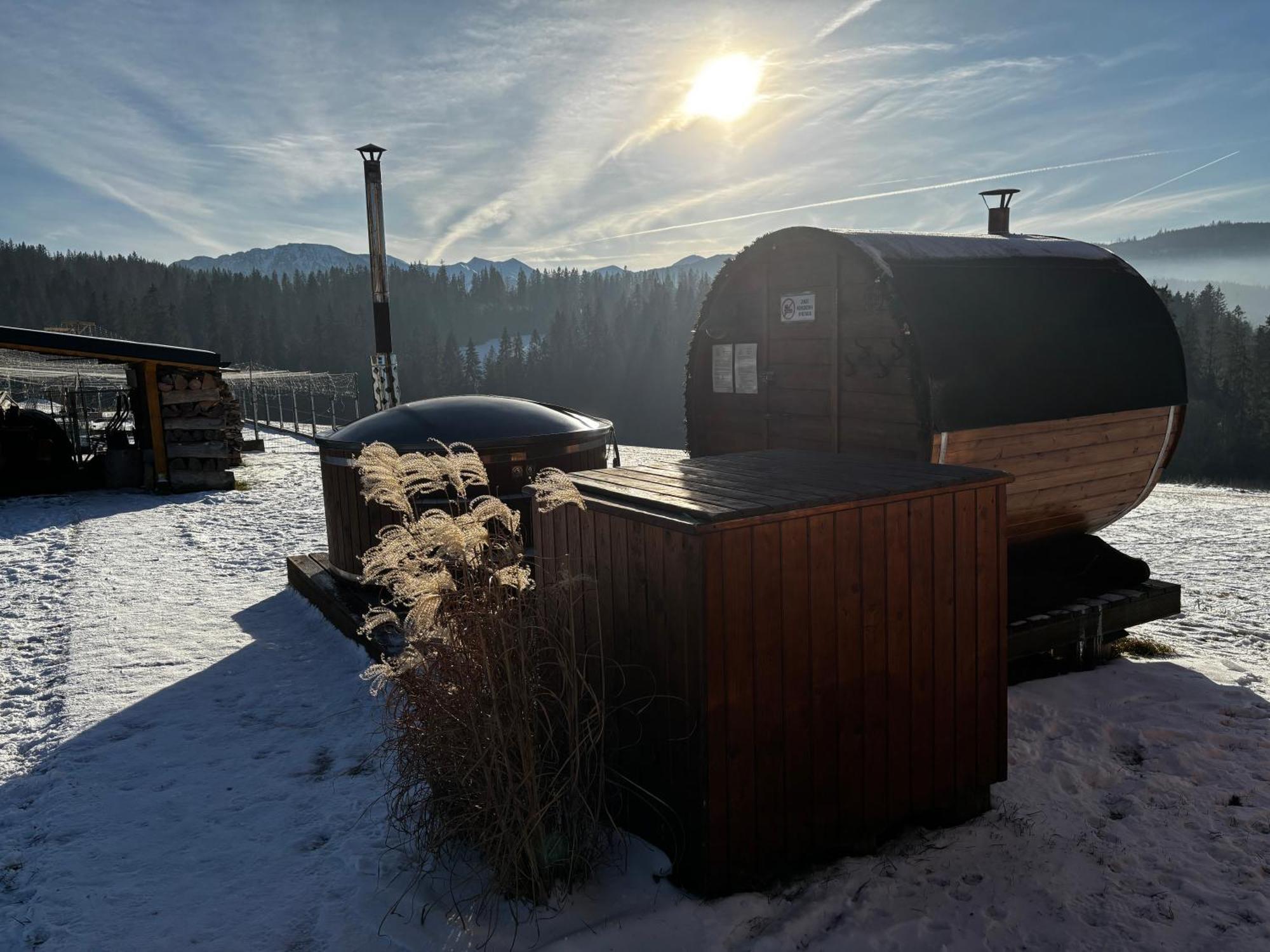 Witowianskie Domki Z Kominkiem, Jacuzzi I Sauna Dzianisz 外观 照片